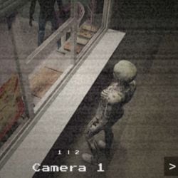 Skinwalker in cameras